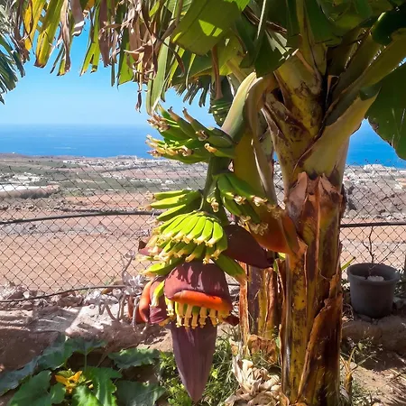 House With View And Jacuzzi In Adeje *